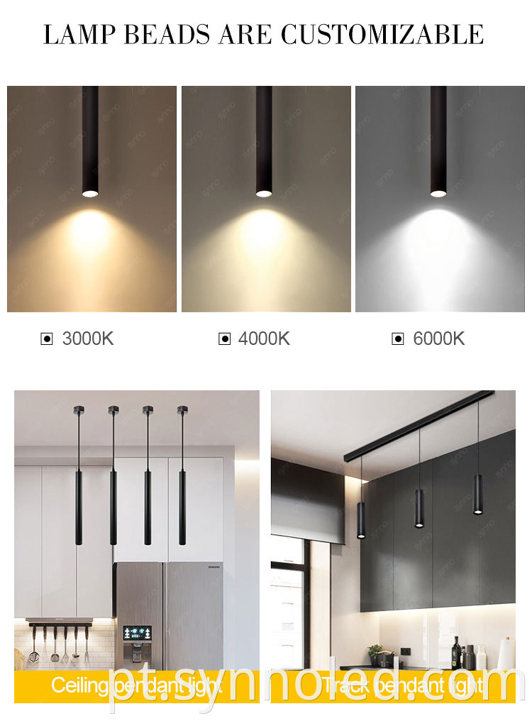 Ceiling Pendant Light